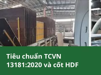 Tiêu chuẩn TCVN 13181:2020 và cốt HDF: đại lý, nhà thầu nên hỏi nhà máy sàn gỗ những gì